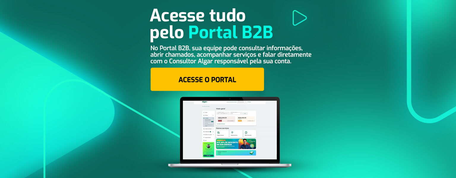 portal b2b